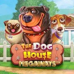 The Dog House Megaways game at Casinonic Casino for Australian players