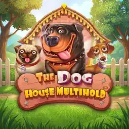 The Dog House Multihold game at Casinonic Casino for Australian players
